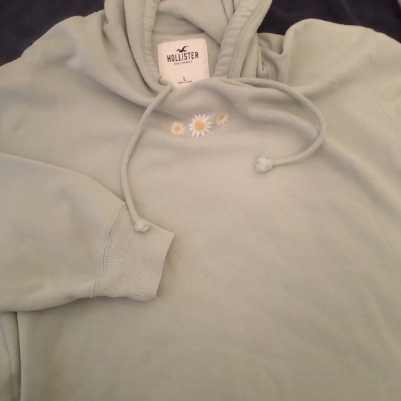 Hollister Cropped Hoodie - Picture 8 of 16